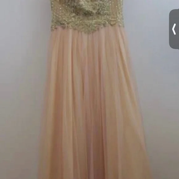 Elegant Gold and Pink Gown - Picture 3 of 9